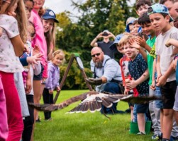 Birds of Prey Demonstration - Russborough House