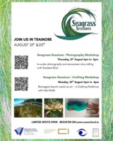 Seagrass Sessions | Photography Workshop