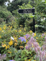 50 Years in The Valley