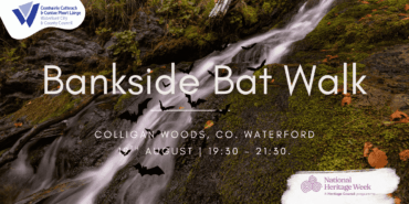 Bankside Bat Walk at Colligan Woods