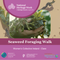 Foraging the Shoreline: Seaweed, Culture, and Women’s Knowledge Systems