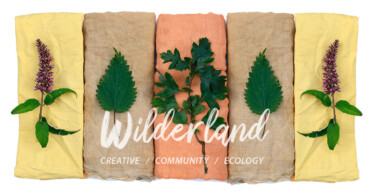 Natural Plant Dyes Workshop