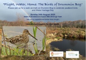 Flight, Water, Home - The Birds of Drummin Bog