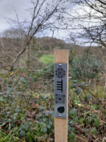Whispers from the Celtic Grove at Uillinn: West Cork Arts Centre