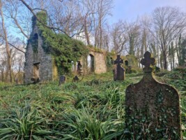 The White Church at Milltown: its past, present and future