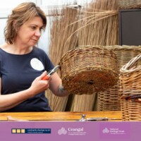 Rustic Willow Vase Making with Helena Golden in Duleek Library