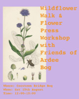 Wildflower Workshop on Ardee Bog