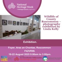 Wildlife of County Roscommon – Photography Exhibition
