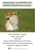 Celebrating Local Wildlife with Wildlife Rehabilitation Ireland
