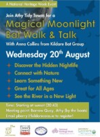 Bat Walk in Athy, Kildare
