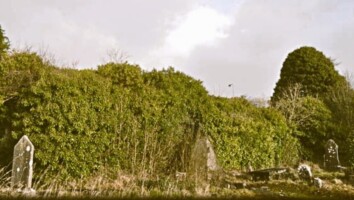 Talk on Franciscan Friary in Ballymote. Co. Sligo