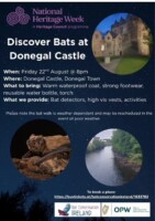 'Discover Bats at Donegal Castle'