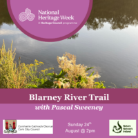 Guided walk of the Blarney River Trail with Pascal Sweeney