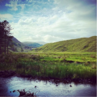 All About Bogs – Walk & Talk, Liffey Head Bog, Led by Andrea Webb