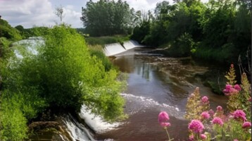 Brosna River Literary & Music Festival 2026