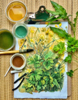 Botanical Sketching with Natural Tools and Inks