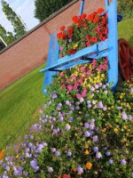 Walk About Leixlip, Co. Kildare