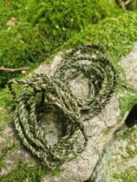 Learn to Make Nettle Cordage. Meet the Trees and Plants Along the Sidella Laneway