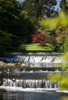 Visit Mount Usher Gardens, Ashford, Co. Wicklow