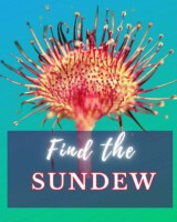 Sundew Walk