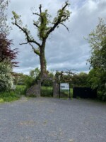 Famine Walk from the Old Workhouse to the Famine Graveyard in Robinstown, Mullingar, Co Westmeath