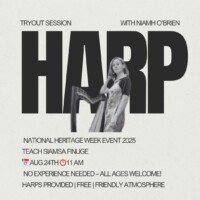 Cornelius Lyons Harp School - Harp Try Out Session