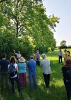 Exploring the history and culture of Irish Hedgerows at Tara