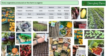 Derrybeg Farm CSA Celbridge