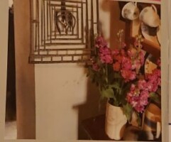 Carrigeen Farmhouse Tour