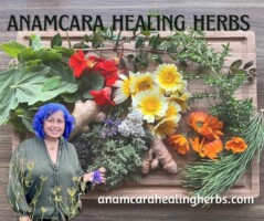 From Weed to Wellness: Plant Wisdom of Our Ancestors