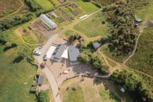 Talk and Guided Tour of Hometree HQ Woodlands and Nursery