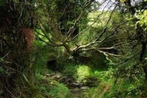 Celebrate Water Heritage Day on Cullohill Mountain.