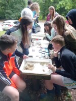 Citizen Science - Learn to Read the River