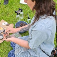Wildflower Seed Bomb Workshop for Children
