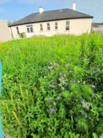Meet two former residents of repurposed garda barracks