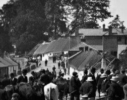 'From Hovels to Homes'