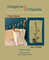 ‘Hedgerow & Wayside | Native Plants of County Kilkenny