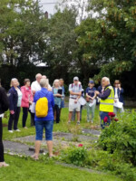 Tour of the Franciscan Abbey Church Graveyard
