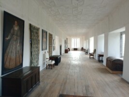 A chat with Patsy Dowley