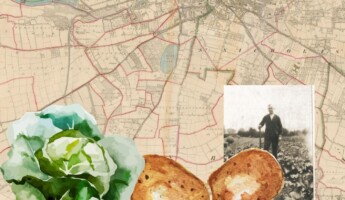 Growing Our Own : Unearthing Cork's Garden Culture