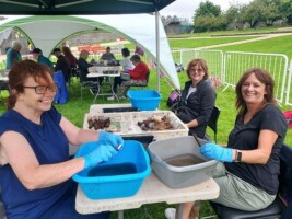 Archaeology at Swords Castle