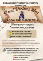 St Declan's Way Local 6km Guided Walk