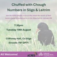 Chuffed with Chough Numbers in Sligo & Leitrim