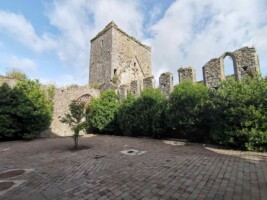 Guided Tour of St. Dominic's Friary, Cashel