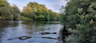 Freshwater Invertebrates Citizen Science with LAWPRO & Cork City Council