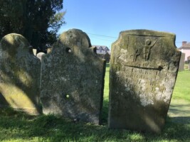 Care and Conservation of Historic Graveyards: Ferns Old Graveyard Tour