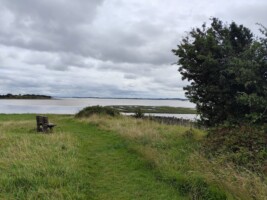 Historical Talk  & unveiling of a new Information Sign at 'Illaunagowan Point' Shannon