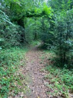 St. Mullins, Flora fauna and folklore