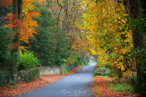 The Golden Mile: A Historical Ramble