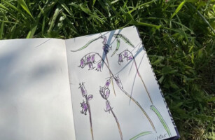 Green Sketching at Heron Gallery